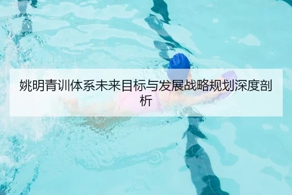 姚明青训体系未来目标与发展战略规划深度剖析